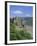 Rheinstein Castle Overlooking the River Rhine, Rhineland, Germany, Europe-Roy Rainford-Framed Photographic Print