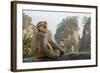 Rhesus Macaque, Hallelujah Mountains, Wulingyuan District, China-Darrell Gulin-Framed Photographic Print