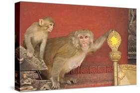 Rhesus Macaque Monkey Mother and Baby on Ancient Shrine-Peter Barritt-Stretched Canvas