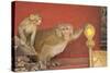 Rhesus Macaque Monkey Mother and Baby on Ancient Shrine-Peter Barritt-Stretched Canvas