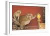 Rhesus Macaque Monkey Mother and Baby on Ancient Shrine-Peter Barritt-Framed Photographic Print