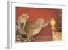 Rhesus Macaque Monkey Mother and Baby on Ancient Shrine-Peter Barritt-Framed Photographic Print