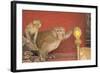 Rhesus Macaque Monkey Mother and Baby on Ancient Shrine-Peter Barritt-Framed Photographic Print