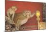 Rhesus Macaque Monkey Mother and Baby on Ancient Shrine-Peter Barritt-Mounted Photographic Print