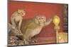 Rhesus Macaque Monkey Mother and Baby on Ancient Shrine-Peter Barritt-Mounted Photographic Print