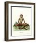 Rhesus Macaque-null-Framed Giclee Print