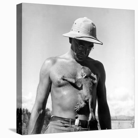 Rhesus Monkey Climbing on a Man's Chest at a Monkey Colony-Hansel Mieth-Stretched Canvas