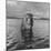 Rhesus Monkey Sitting in Water Up to His Chest-Hansel Mieth-Mounted Photographic Print