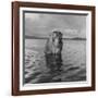 Rhesus Monkey Sitting in Water Up to His Chest-Hansel Mieth-Framed Photographic Print