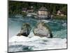 Rhine Falls, Schaffhausen, Switzerland, Europe-Hans Peter Merten-Mounted Photographic Print