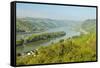 Rhine River, Near Bodenthal, Hesse, Germany, Europe-Jochen Schlenker-Framed Stretched Canvas