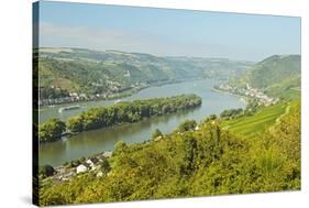 Rhine River, Near Bodenthal, Hesse, Germany, Europe-Jochen Schlenker-Stretched Canvas