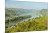 Rhine River, Near Bodenthal, Hesse, Germany, Europe-Jochen Schlenker-Mounted Photographic Print