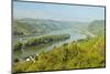 Rhine River, Near Bodenthal, Hesse, Germany, Europe-Jochen Schlenker-Mounted Photographic Print