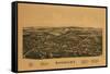 Rhinebeck, New York - Panoramic Map-Lantern Press-Framed Stretched Canvas