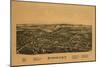 Rhinebeck, New York - Panoramic Map-Lantern Press-Mounted Art Print