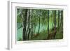 Rhinelander, Wisconsin - Wisconsin River Banks Scene-Lantern Press-Framed Art Print