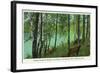 Rhinelander, Wisconsin - Wisconsin River Banks Scene-Lantern Press-Framed Art Print