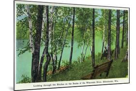 Rhinelander, Wisconsin - Wisconsin River Banks Scene-Lantern Press-Mounted Art Print