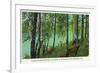 Rhinelander, Wisconsin - Wisconsin River Banks Scene-Lantern Press-Framed Art Print