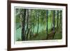 Rhinelander, Wisconsin - Wisconsin River Banks Scene-Lantern Press-Framed Premium Giclee Print