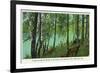 Rhinelander, Wisconsin - Wisconsin River Banks Scene-Lantern Press-Framed Premium Giclee Print