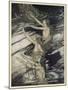 Rhinemaidens Warn Siegfried-Arthur Rackham-Mounted Art Print