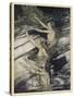 Rhinemaidens Warn Siegfried-Arthur Rackham-Stretched Canvas