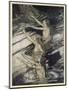 Rhinemaidens Warn Siegfried-Arthur Rackham-Mounted Art Print