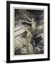 Rhinemaidens-Arthur Rackham-Framed Art Print