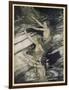 Rhinemaidens-Arthur Rackham-Framed Art Print