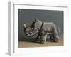 Rhino, 2015,-Peter Jones-Framed Giclee Print