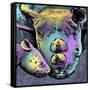 Rhino 2-Marlene Watson-Framed Stretched Canvas