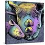 Rhino 2-Marlene Watson-Stretched Canvas