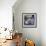 Rhino 2-Marlene Watson-Framed Giclee Print displayed on a wall