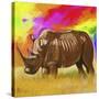 Rhino 2-Howie Green-Stretched Canvas