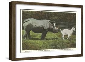 Rhino and Goat, Zoo, Philadelphia, Pennsylvania-null-Framed Art Print