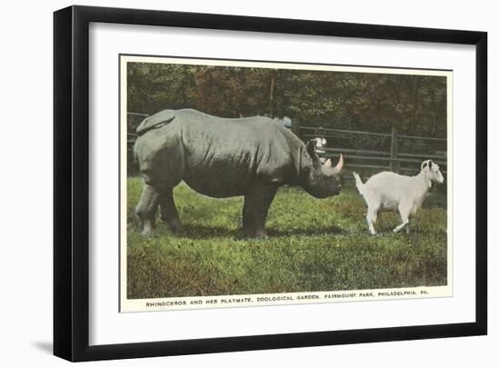 Rhino and Goat, Zoo, Philadelphia, Pennsylvania-null-Framed Art Print