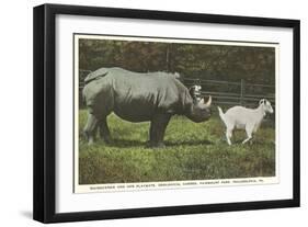 Rhino and Goat, Zoo, Philadelphia, Pennsylvania-null-Framed Art Print