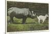 Rhino and Goat, Zoo, Philadelphia, Pennsylvania-null-Stretched Canvas