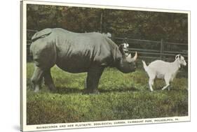 Rhino and Goat, Zoo, Philadelphia, Pennsylvania-null-Stretched Canvas