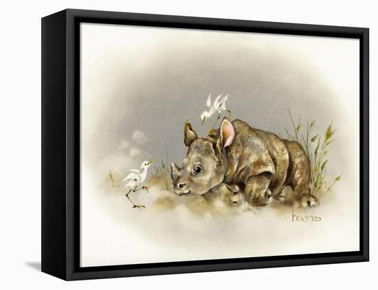 Rhino Baby-Peggy Harris-Framed Stretched Canvas