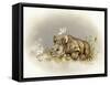 Rhino Baby-Peggy Harris-Framed Stretched Canvas