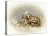 Rhino Baby-Peggy Harris-Stretched Canvas