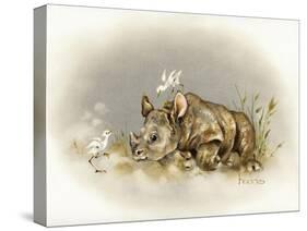 Rhino Baby-Peggy Harris-Stretched Canvas