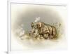 Rhino Baby-Peggy Harris-Framed Giclee Print