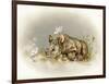 Rhino Baby-Peggy Harris-Framed Giclee Print