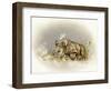 Rhino Baby-Peggy Harris-Framed Giclee Print