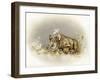 Rhino Baby-Peggy Harris-Framed Giclee Print