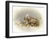 Rhino Baby-Peggy Harris-Framed Giclee Print